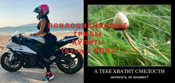 не бодяженный Алексин