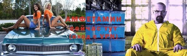 гидра Алексеевка