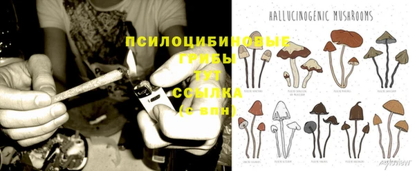 не бодяженный Алексин