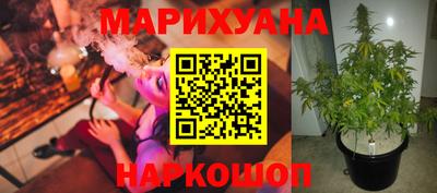 jwh Новокубанск