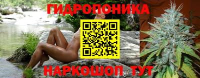 jwh Новокубанск