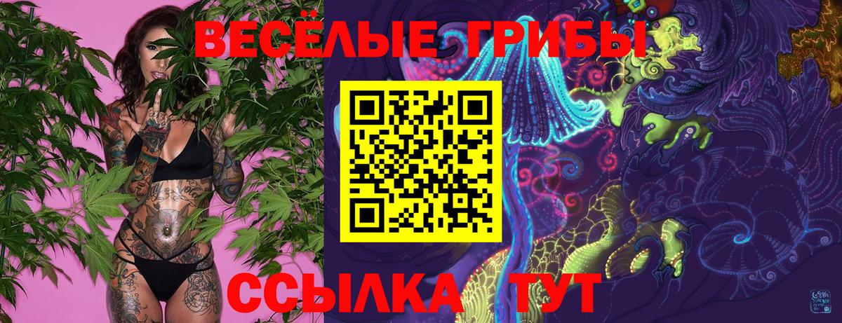 Псилоцибиновые грибы MAGIC MUSHROOMS Тейково